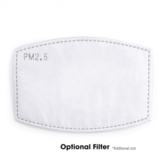 Optional Filter